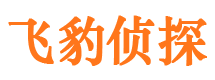 石屏市场调查